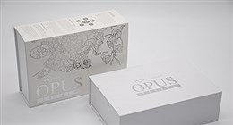 CAPDASE公司与我司合作,称赞宝兴隆包装盒精美